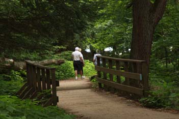 Ash Cave Walkway