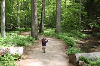 Ash Cave walkway